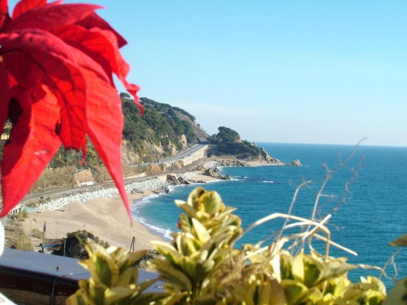 Gran Sol Hotel Sant Pol De Mar Buitenkant foto